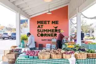 1035 Patagonia St, Summerville, SC 29485 - Photo 38