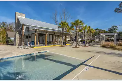 3825 Tupelo Branch Row, Mount Pleasant, SC 29429 - Photo 52