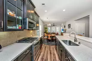 3825 Tupelo Branch Row, Mount Pleasant, SC 29429 - Photo 8