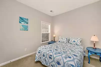 3825 Tupelo Branch Row, Mount Pleasant, SC 29429 - Photo 38