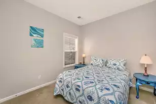 3825 Tupelo Branch Row, Mount Pleasant, SC 29429 - Photo 38