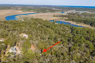 8990 Palmetto Rd, Edisto Island, SC 29438 - Photo 56