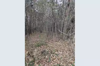 0 Jefferies Boulevard N, Walterboro, SC 29488 - Photo 2