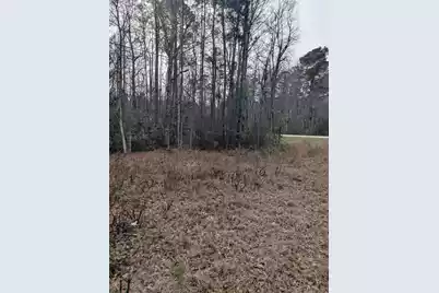 0 Jefferies Boulevard N, Walterboro, SC 29488 - Photo 4