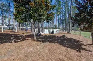 126 Clearblue Loop, Summerville, SC 29486 - Photo 50