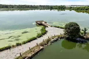 502 Tulip Poplar Dr, Moncks Corner, SC 29461 - Photo 16