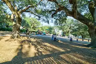 419 King St, Mount Pleasant, SC 29464 - Photo 84