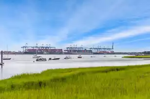 26 Woodford St, Daniel Island, SC 29492 - Photo 74