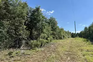 3021 Salley Rd, Salley, SC 29137 - Photo 58