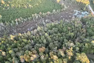 3021 Salley Rd, Salley, SC 29137 - Photo 80