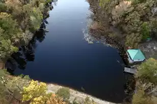 3021 Salley Rd, Salley, SC 29137 - Photo 84