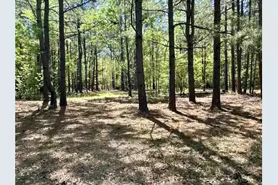 3021 Salley Road, Salley, SC 29137 - Photo 38