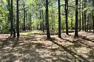 3021 Salley Rd, Salley, SC 29137 - Photo 38