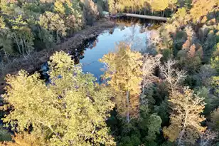 3021 Salley Rd, Salley, SC 29137 - Photo 4