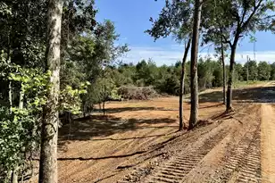 3021 Salley Rd, Salley, SC 29137 - Photo 32