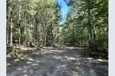 3021 Salley Road, Salley, SC 29137 - Photo 38