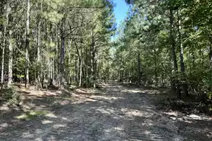 3021 Salley Rd, Salley, SC 29137 - Photo 38