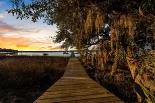 5713 Boone Haven Rd Rd, Wadmalaw Island, SC 29487 - Photo 46