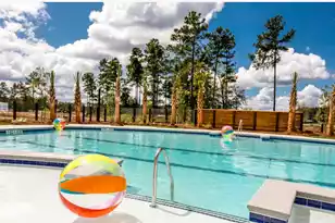 994 Scotch Bonnet Wy, Summerville, SC 29485 - Photo 14