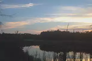 1817 Great Hope Dr, Mount Pleasant, SC 29466 - Photo 68