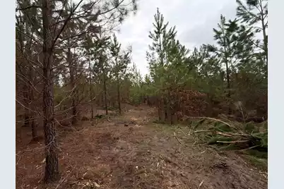 Bff II 5 Brunson Teal Rd Road, Patrick, SC 29584 - Photo 12