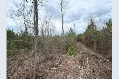 Bff II 5 Brunson Teal Rd Road, Patrick, SC 29584 - Photo 6