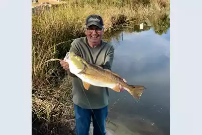 130 Berkshire Drive, Wando, SC 29492 - Photo 72