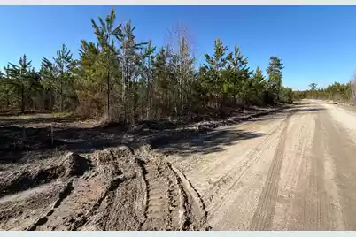 Bff II 6 Brunson Teal Rd Road, Patrick, SC 29584 - Photo 1