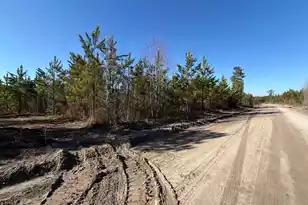 Bff II 6 Brunson Teal Rd Rd, Patrick, SC 29584 - Photo 1