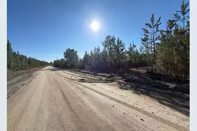 Bff II 7 Brunson Teal Rd Road, Patrick, SC 29584 - Photo 2