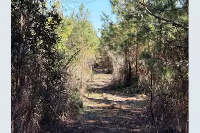 Bff II 7 Brunson Teal Rd Road, Patrick, SC 29584 - Photo 22