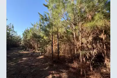 Bff II 7 Brunson Teal Rd Road, Patrick, SC 29584 - Photo 20