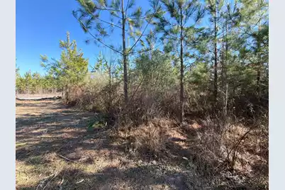 Bff II 7 Brunson Teal Rd Road, Patrick, SC 29584 - Photo 18