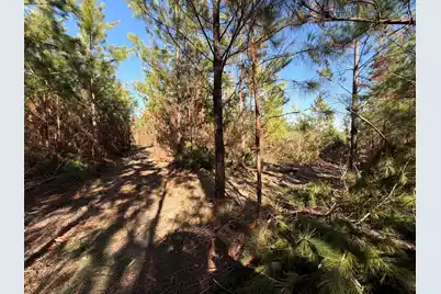 Bff II 7 Brunson Teal Rd Road, Patrick, SC 29584 - Photo 10