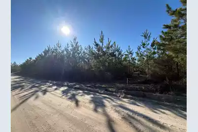 Bff II 8 Brunson Teal Rd Road, Patrick, SC 29584 - Photo 2