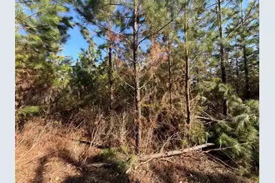 Bff II 8 Brunson Teal Rd Road, Patrick, SC 29584 - Photo 12