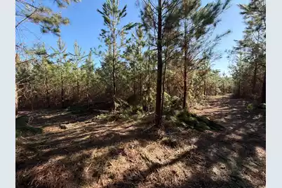 Bff II 8 Brunson Teal Rd Road, Patrick, SC 29584 - Photo 10