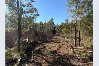 Bff II 8 Brunson Teal Rd Road, Patrick, SC 29584 - Photo 8