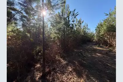 Bff II 8 Brunson Teal Rd Road, Patrick, SC 29584 - Photo 4