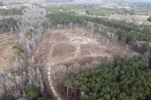 1735 Hwy 15, Saint George, SC 29477 - Photo 8