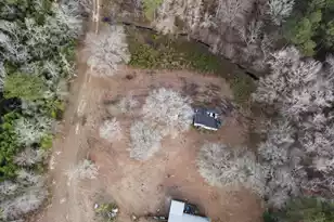 1735 Hwy 15, Saint George, SC 29477 - Photo 6