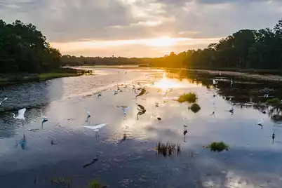 8111 Jack Island Drive, Johns Island, SC 29455 - Photo 16