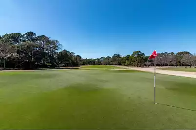 1198 Ambling Way, Mount Pleasant, SC 29464 - Photo 38