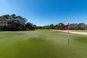 1198 Ambling Way, Mount Pleasant, SC 29464 - Photo 38