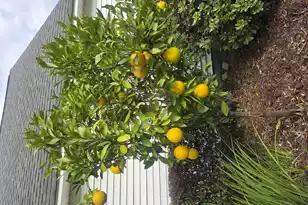 201 Ash Ct, Summerville, SC 29486 - Photo 54