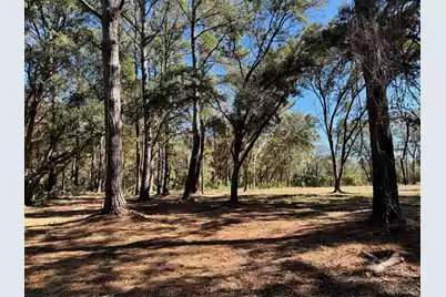 32 Marsh Aire Lane, Edisto Island, SC 29438 - Photo 2