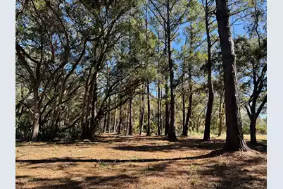 32 Marsh Aire Lane, Edisto Island, SC 29438 - Photo 24