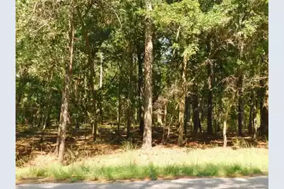 8662 Palmetto Road, Edisto Island, SC 29438 - Photo 2