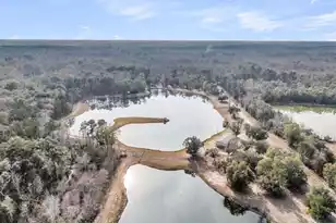 00 Pine Bluff Rd, Dorchester, SC 29437 - Photo 4