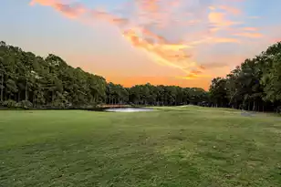 3708 Colonel Vanderhorst Cir, Mount Pleasant, SC 29466 - Photo 2